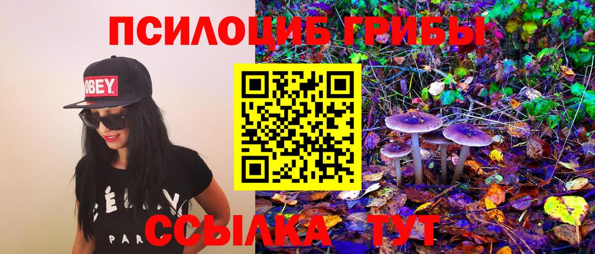 Галлюциногенные грибы MAGIC MUSHROOMS Похвистнево