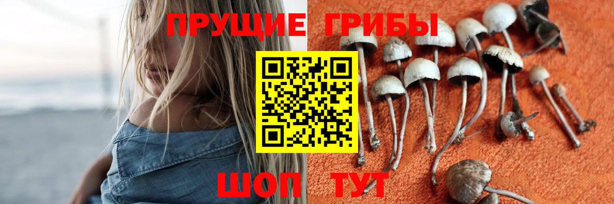 Похвистнево  Псилоцибиновые грибы GOLDEN TEACHER  Вход с VPN 